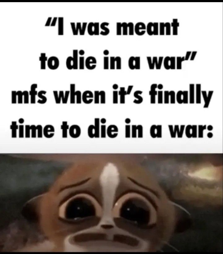 Born just in time to be deployed to the middle east