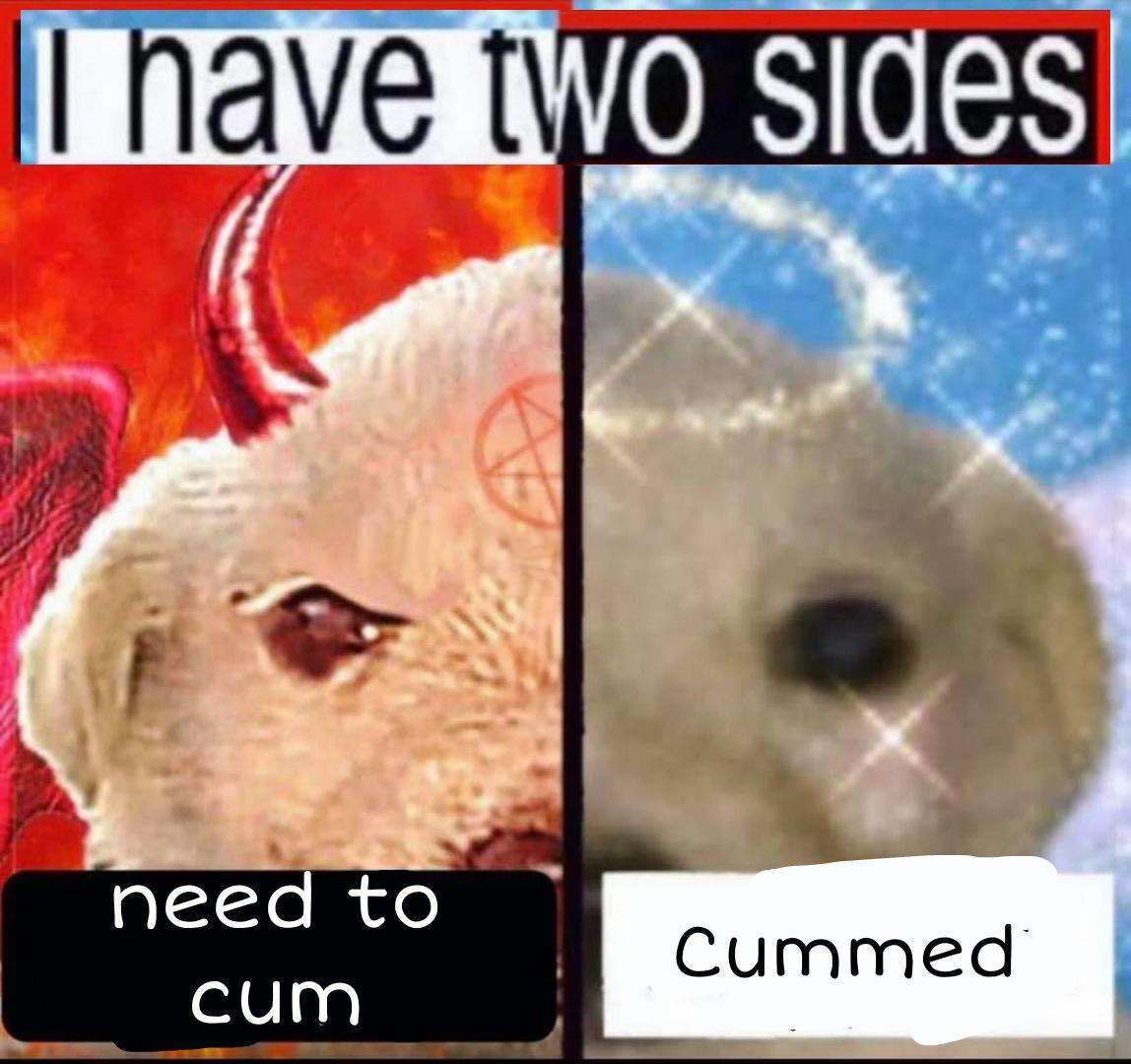 DThe duality of Willywerkel