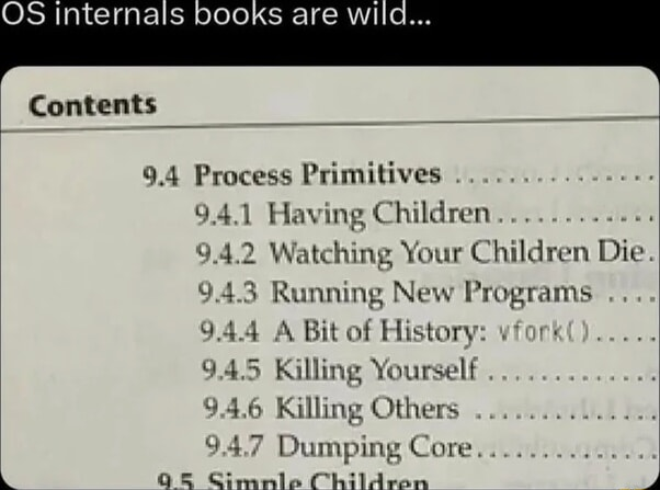 vfork makes a child that shares the same memory space, it's like being pregnant