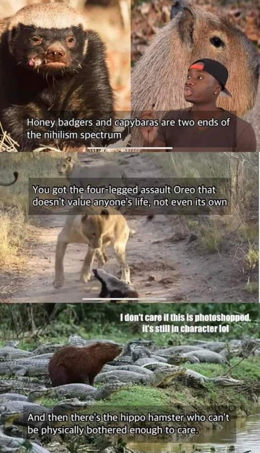 But I thought it was honey badger who don't care (and don't give a shit)