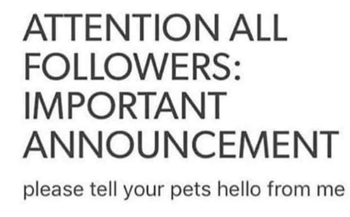 And giv'em a treat too