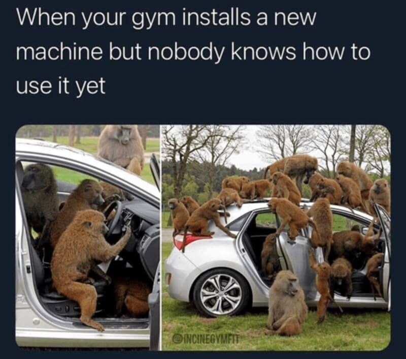 Apes together, strong