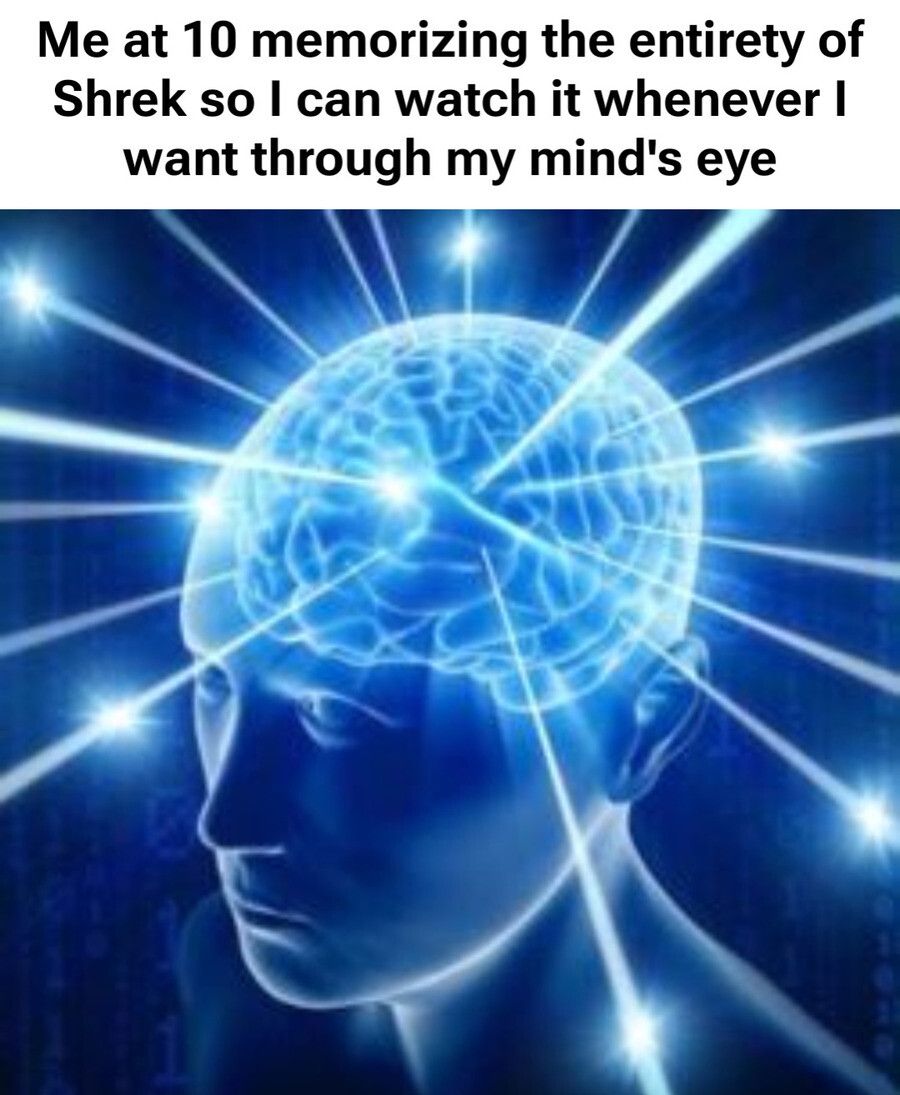 "Stop watching Shrek in your head and go to sleep"