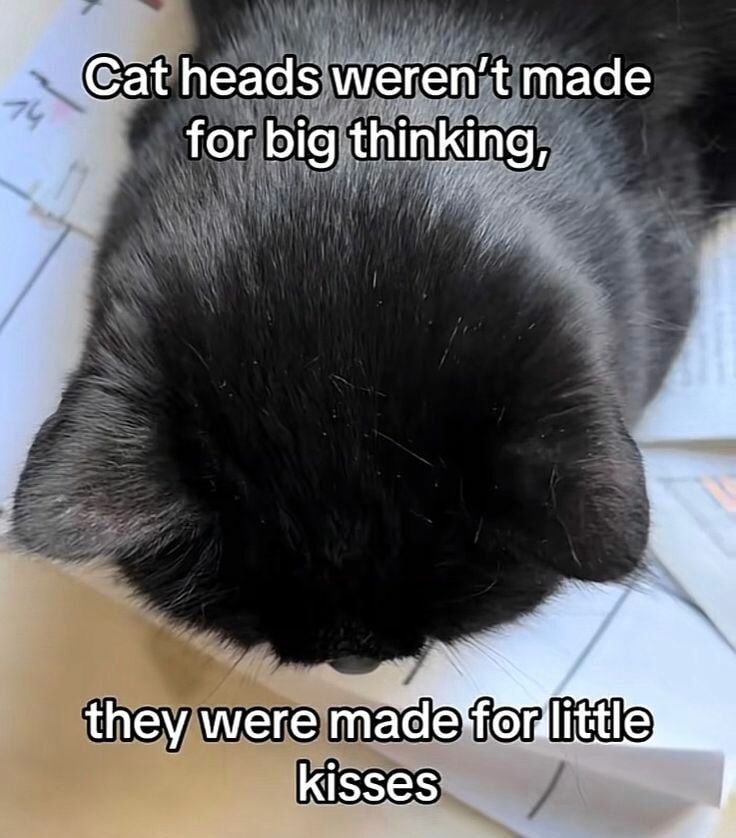 *smooch* *smooch* *smooch* *smooch* *smooch* *smooch*