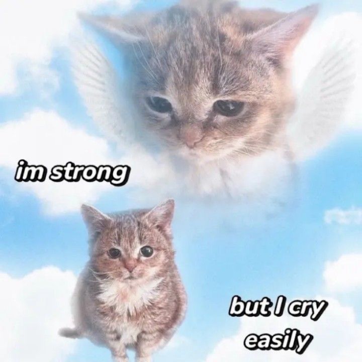 It's not easy being a sensitive young man