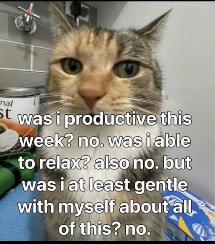 brehs what's the cure for procrastination?