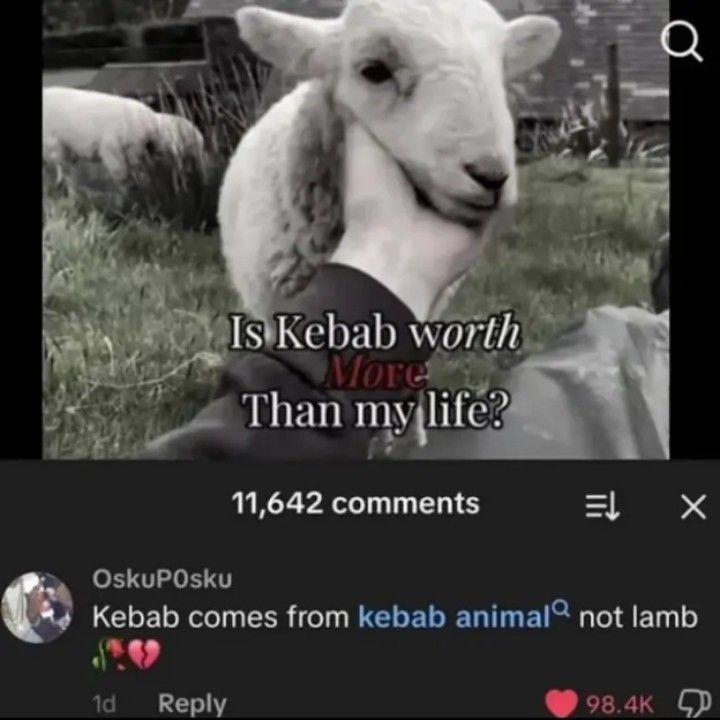 Food comes from the grocery store