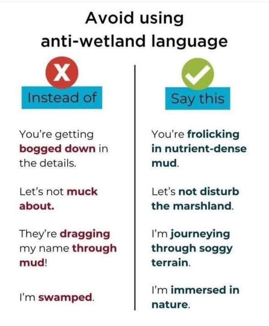 anti-wetland