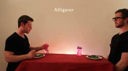How an aligator eats