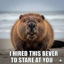 POV: You are a log, or perhaps a very tasty reed