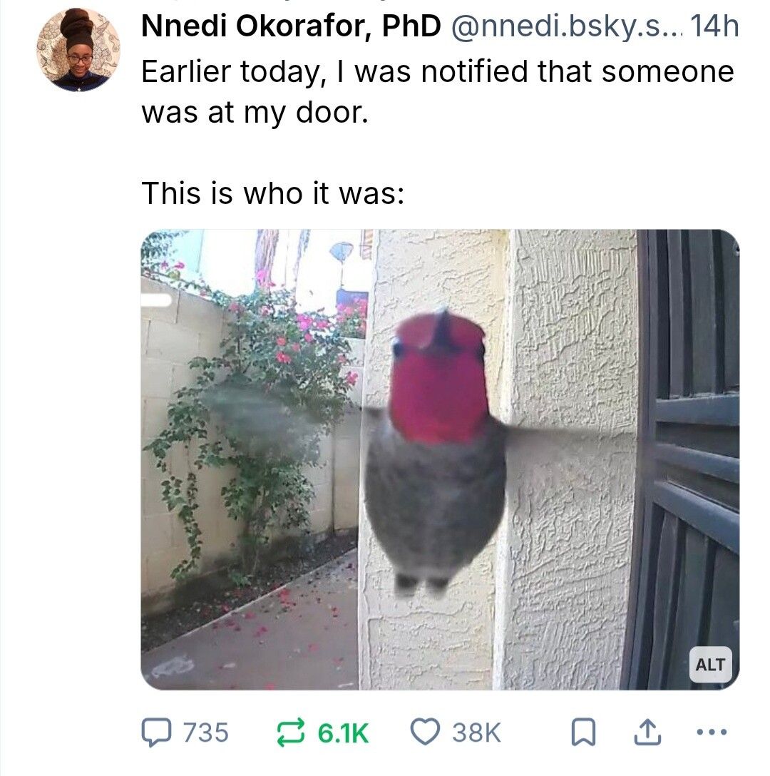 Let him in, he looks very polite