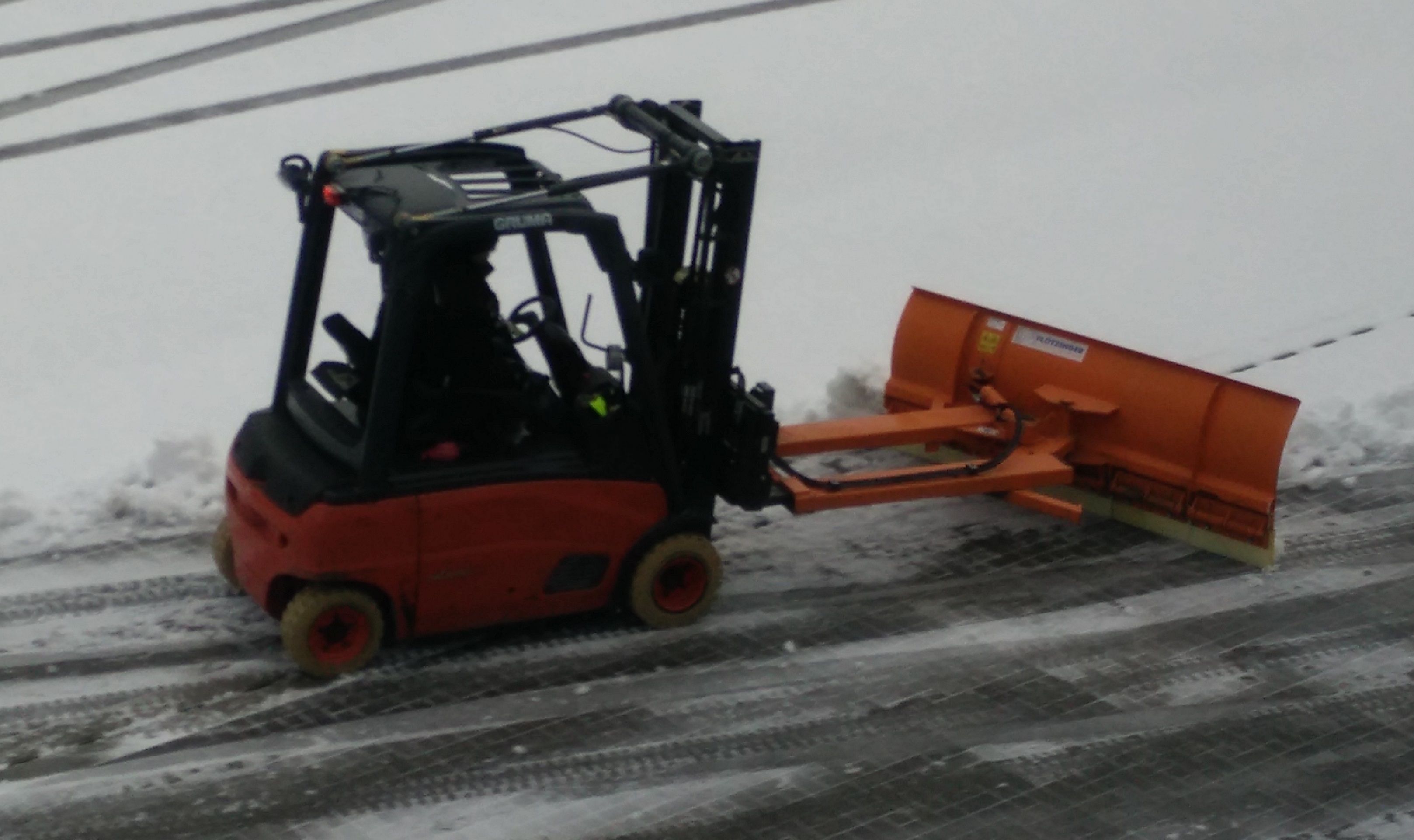 Today I saw an alpha male