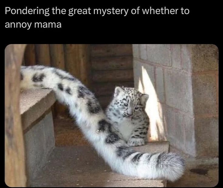 The only mystery is how long it will take