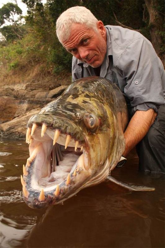 Thats a Big Fish