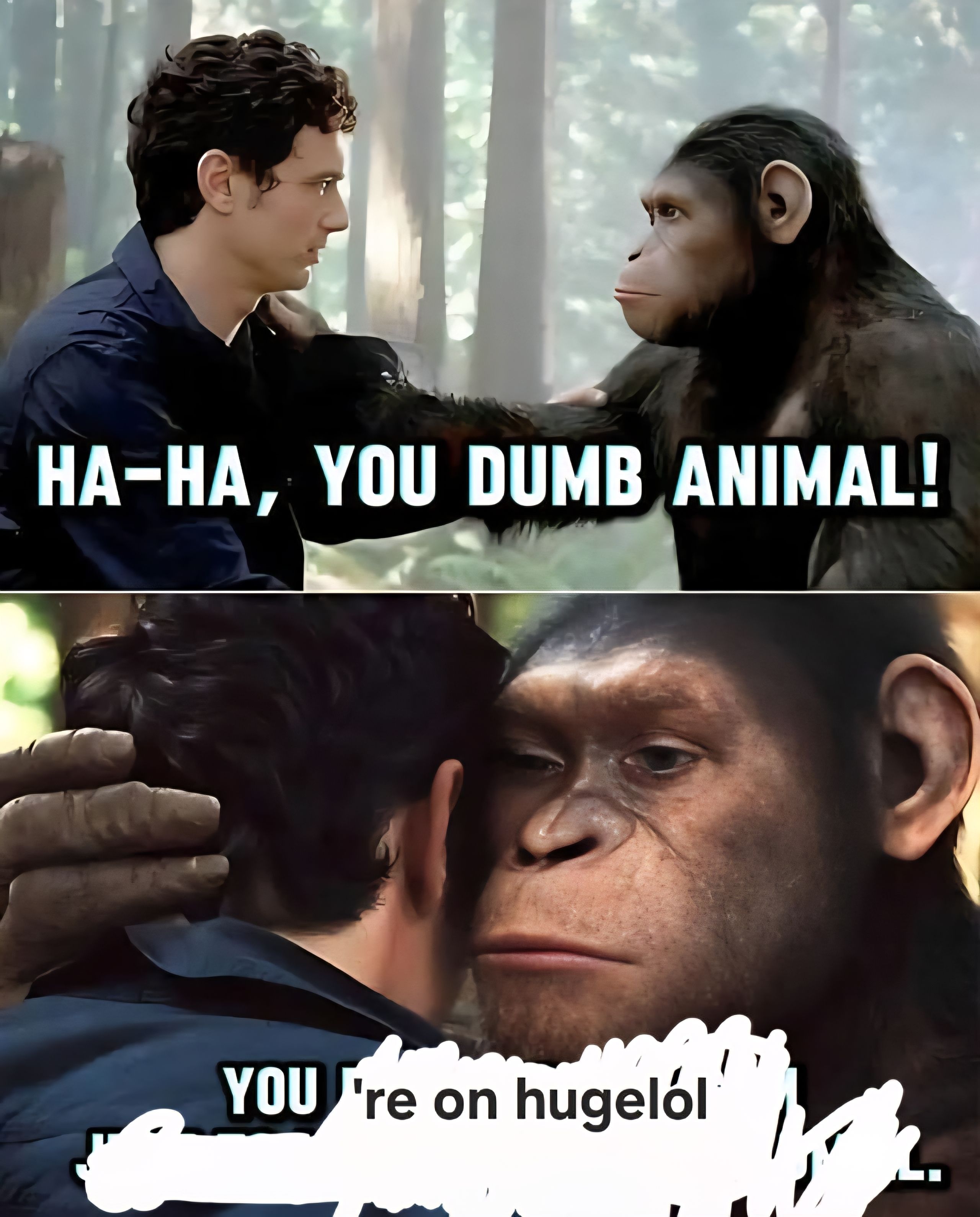 a most terrible indictment