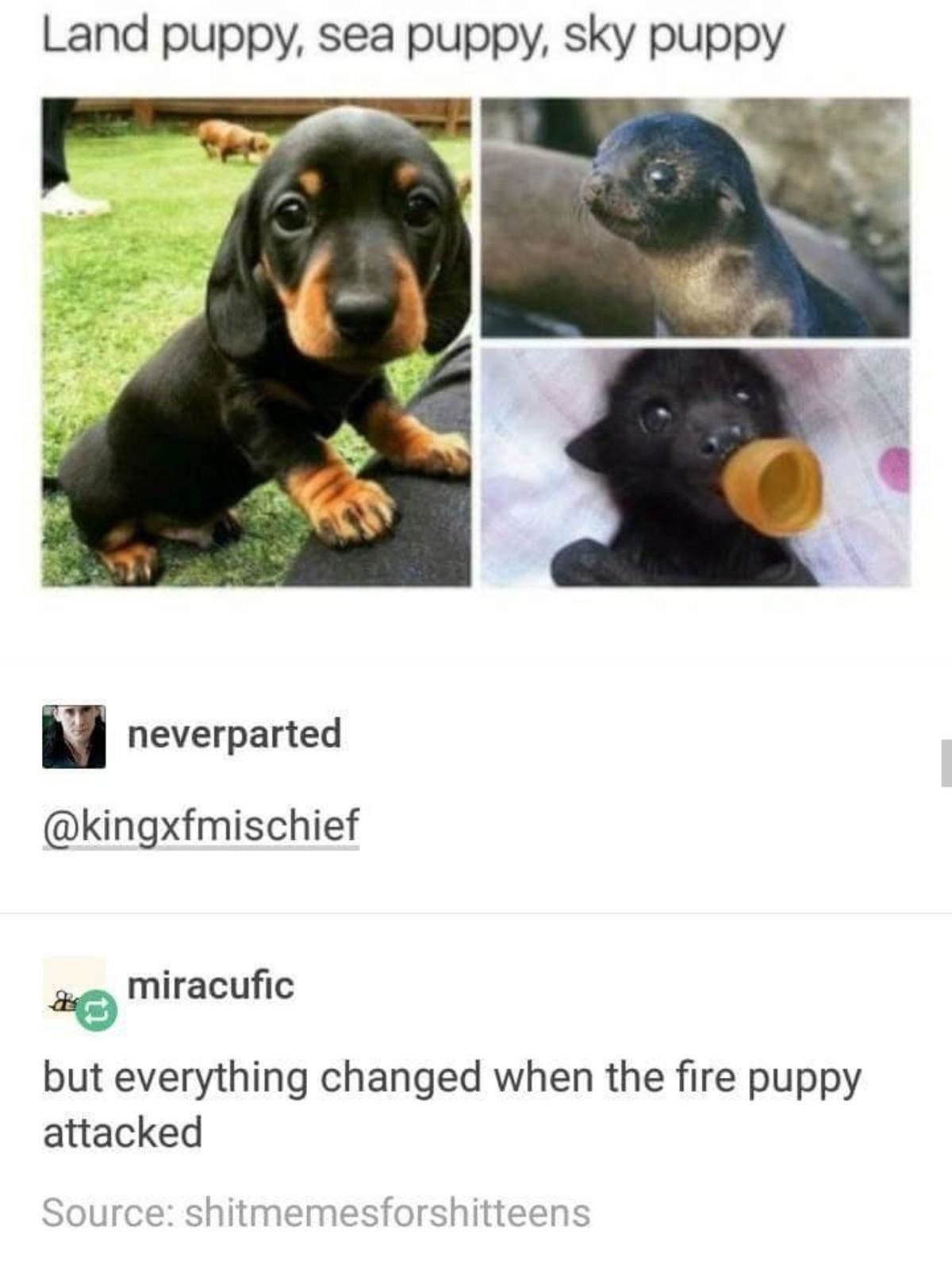 PUPPYS