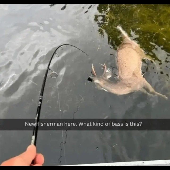 Hugefisherman pls help