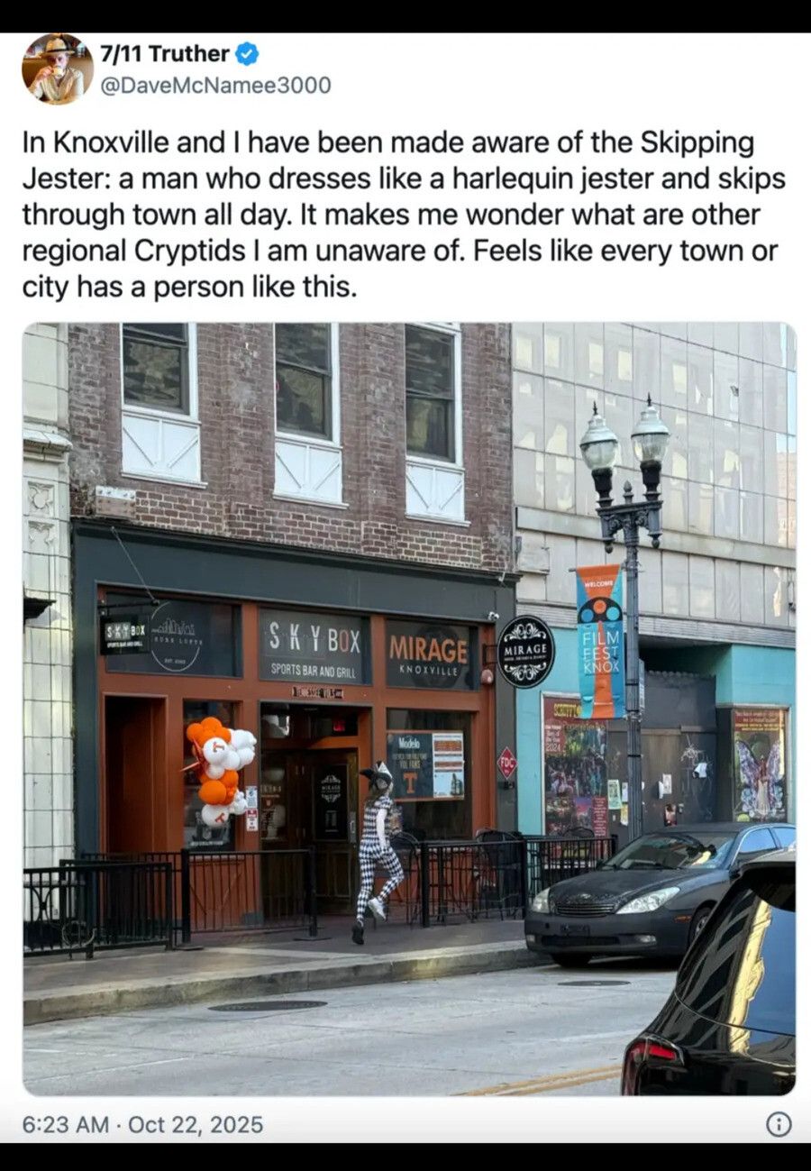 New York has at least one guy who lets his cat ride on his head