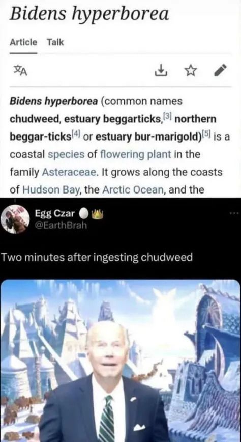 Chudweed