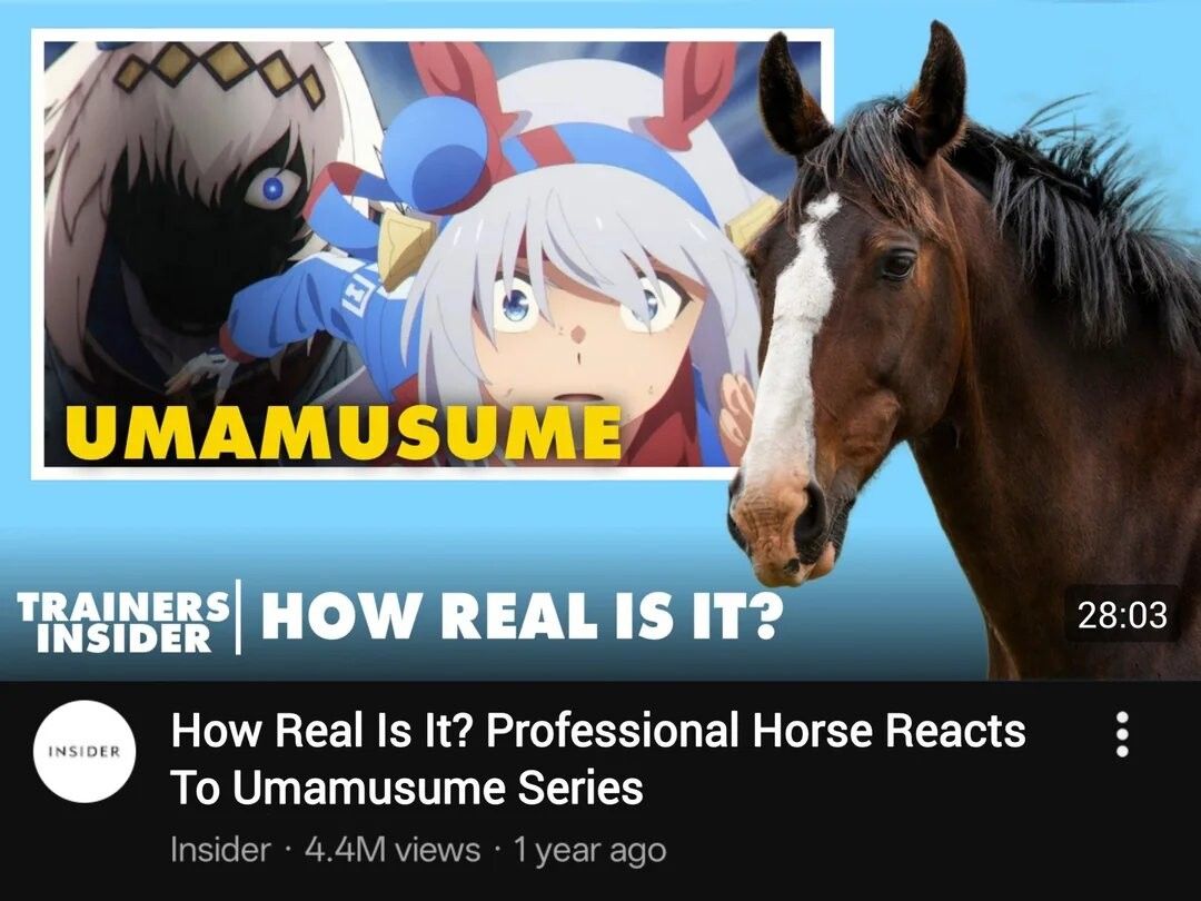 Much better commentary than the amature horses