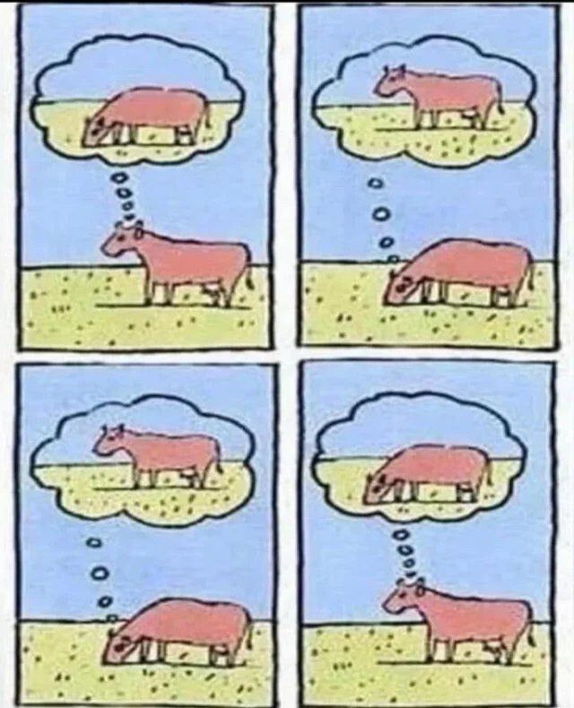 The grass is always greener in the grass