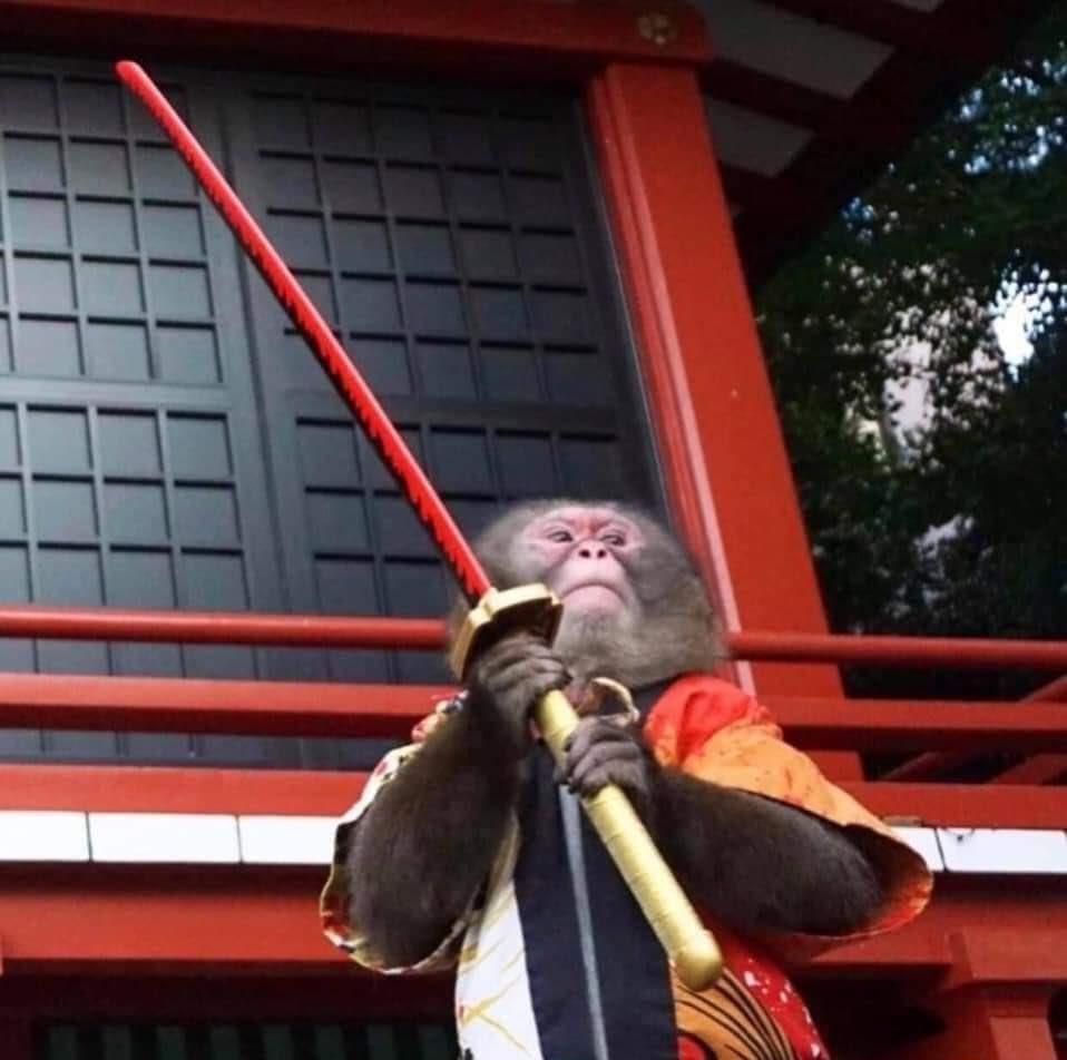 “There is no greater solitude than that of a samurai…”