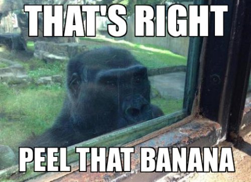 Now I look back when I peel a banana