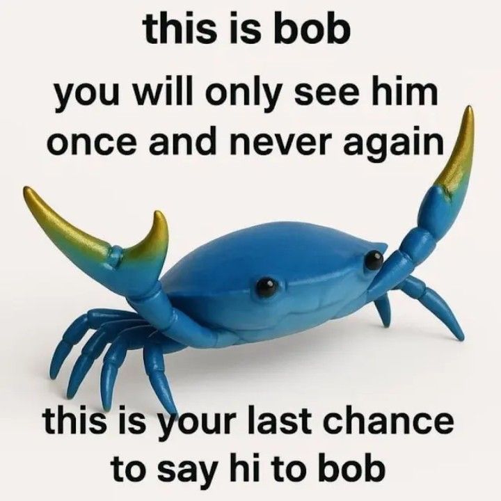 Hi bob