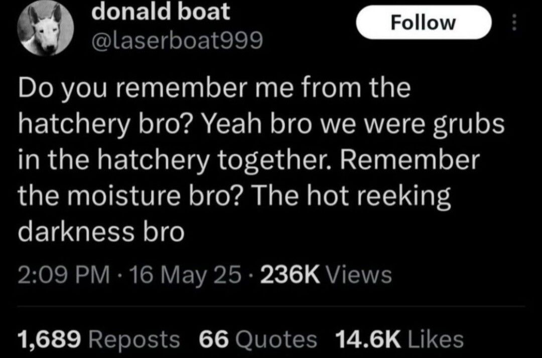 Yes, yes, we all remember the hatchery