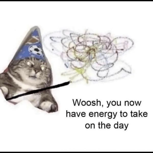 ✧ദ്ദി( ˶^ᗜ^˶ )