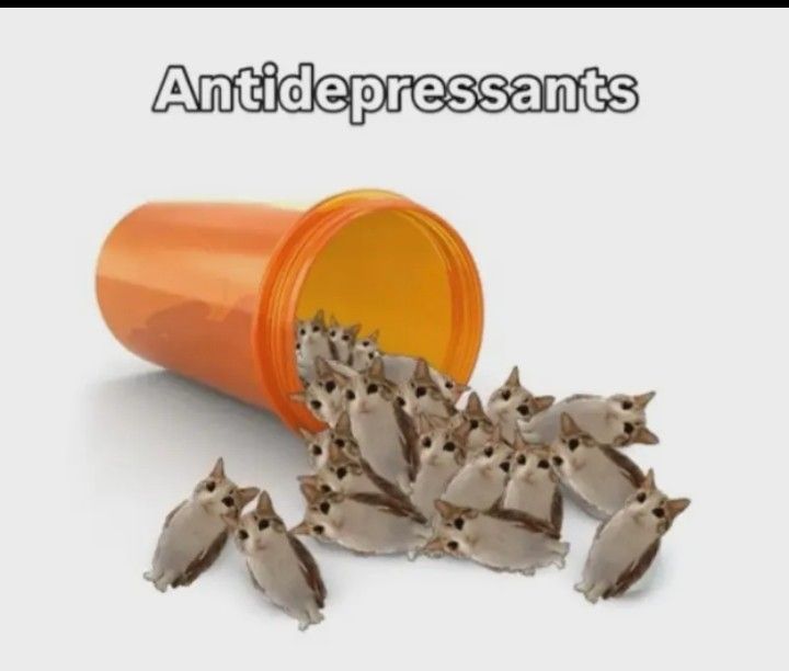 Take your pills U⁠^⁠ｪ⁠^⁠U