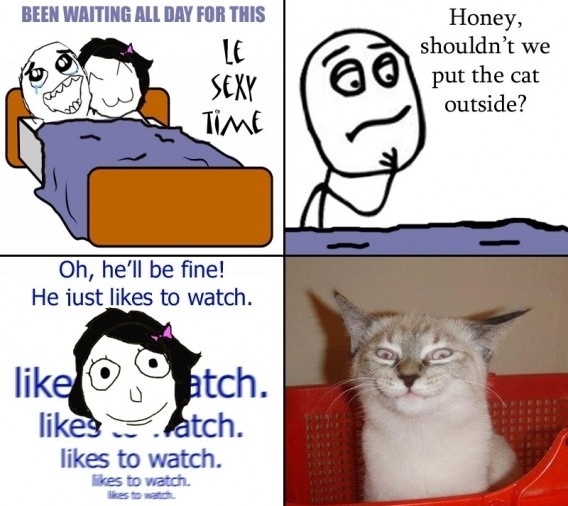 Kitty Likes To Watch...