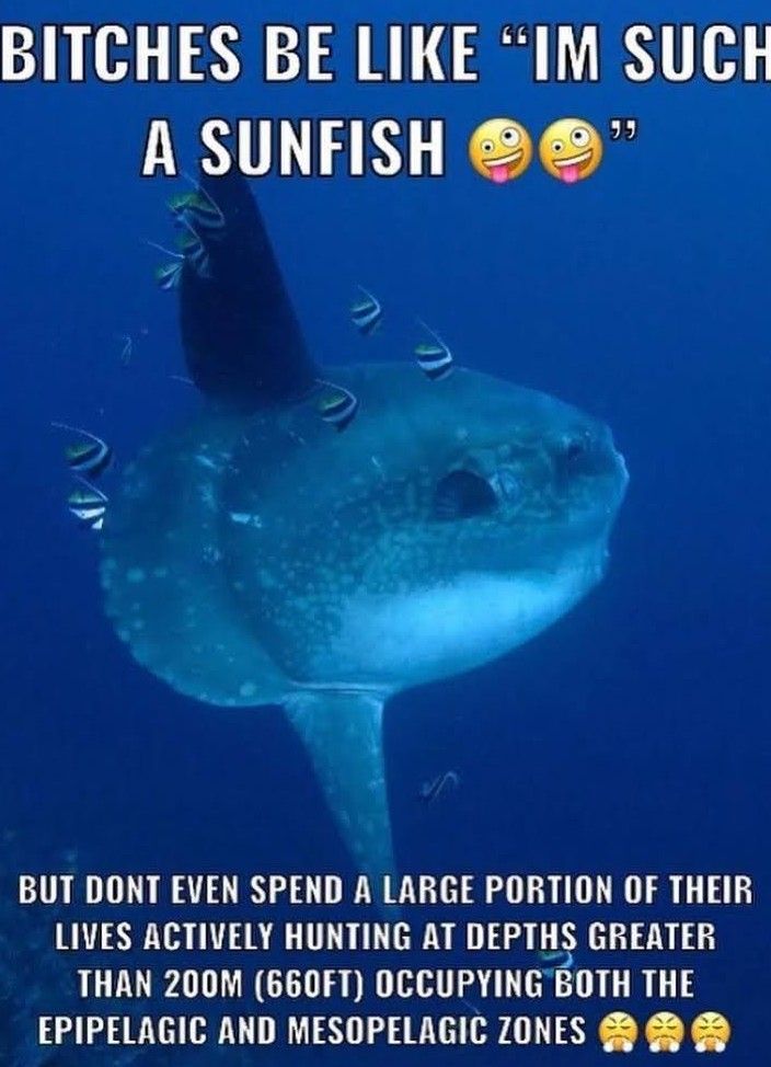 Know your place trash