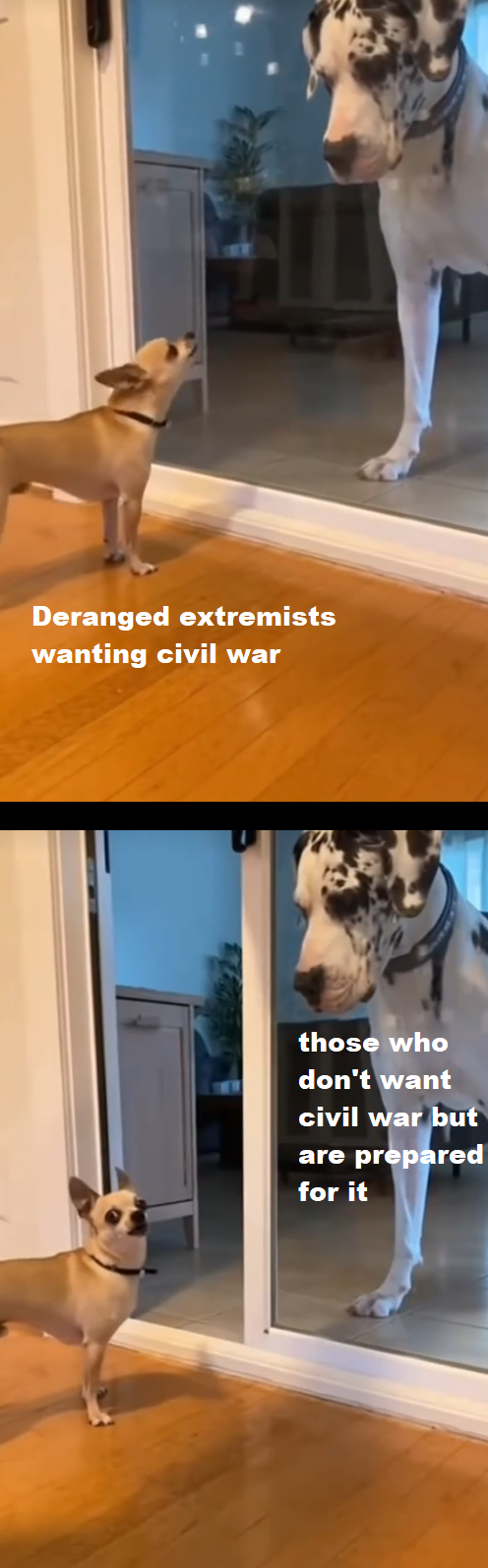 The suicidal being suicidal... What else is new?