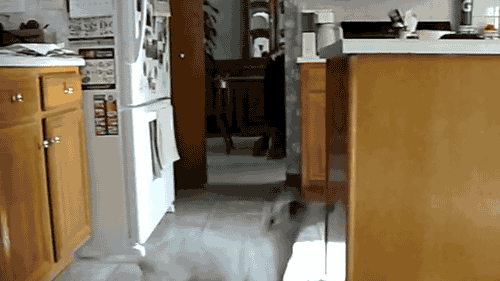 When my food is ready