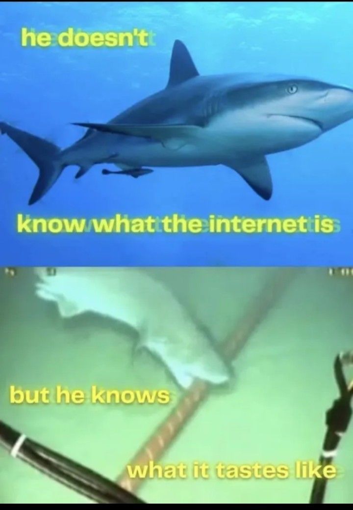 Terry has brought you another gift