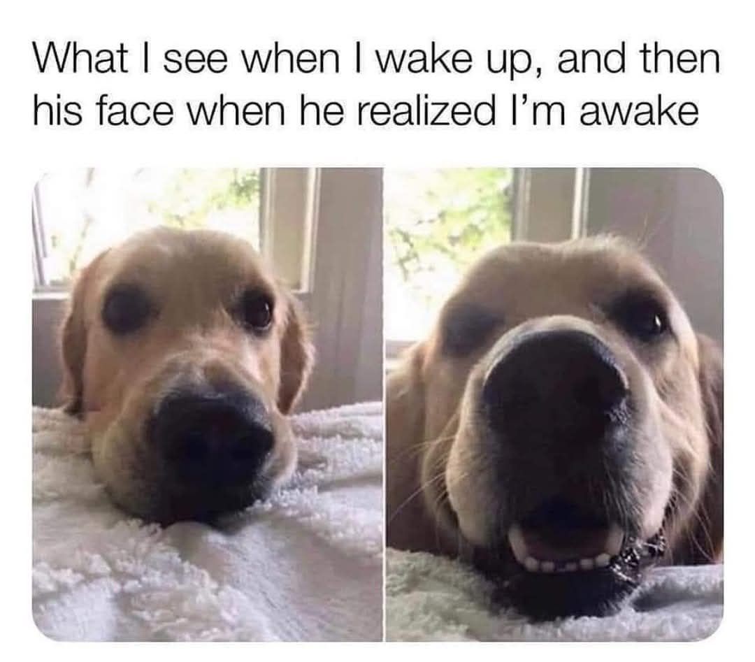 Always waking up to a kiss