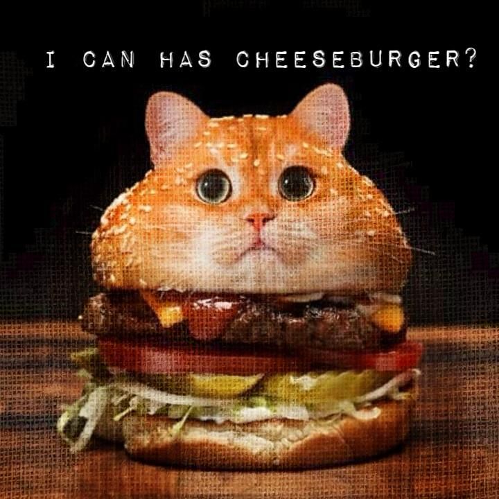 To be or not to be, that is the question