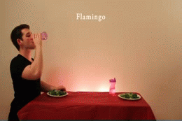 How an flamingo eats his food
