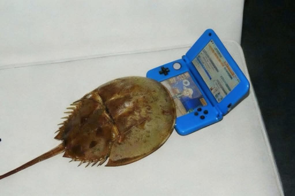 The beast stained the 3DS with it's blood!!