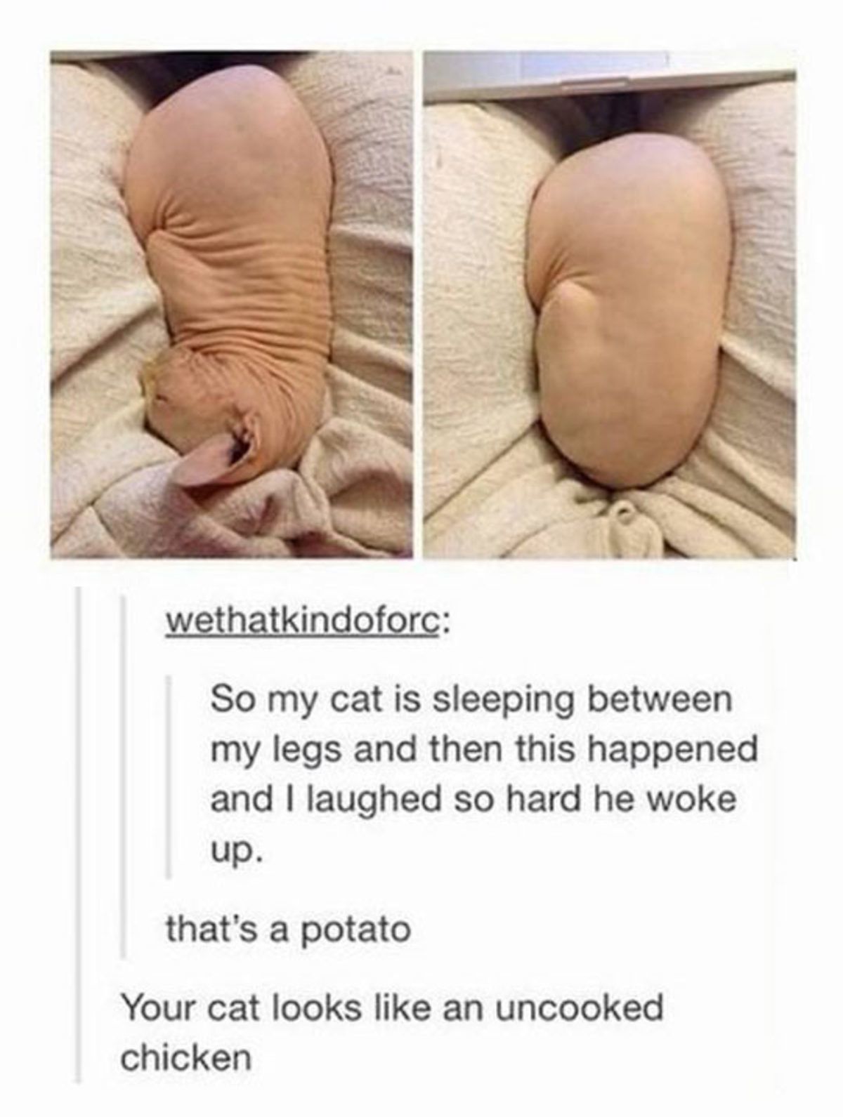 ​​​