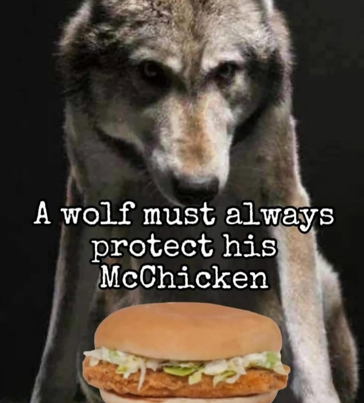 They should print that on a cool t-shirt