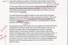 2 girls one cup essay 07 image