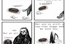 Isopods tolerate impressive amounts of heavy metals, but dont appear to ...
